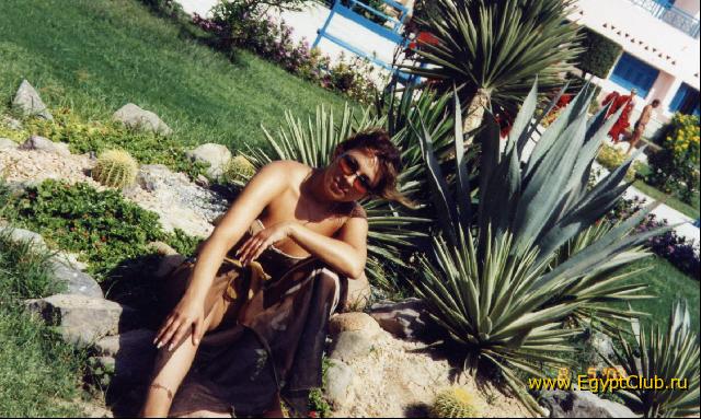 ���������� �������������