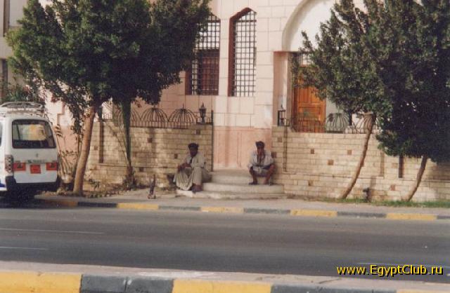 ������� - ���� 013