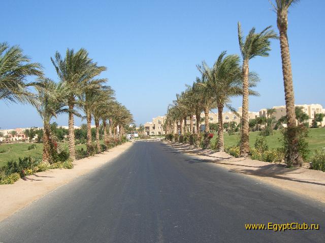 ������ �� ����� � �������