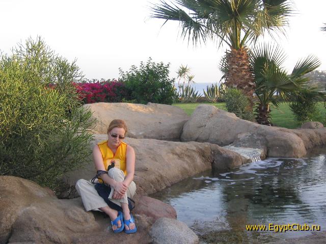 ������ �����