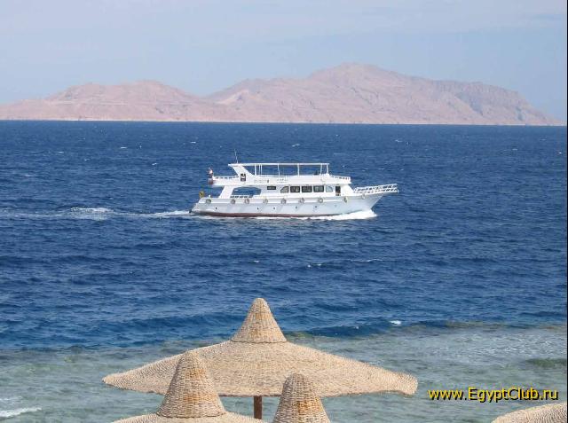 ��� � �����