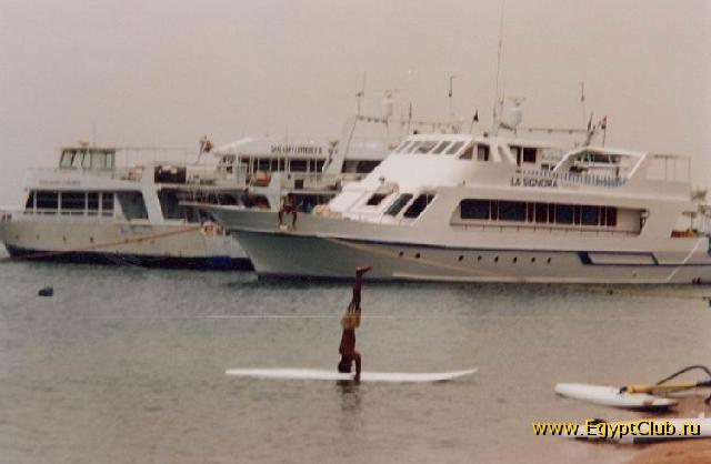 ������� - ���� 016 - � ��� �� ������������ �������� ���