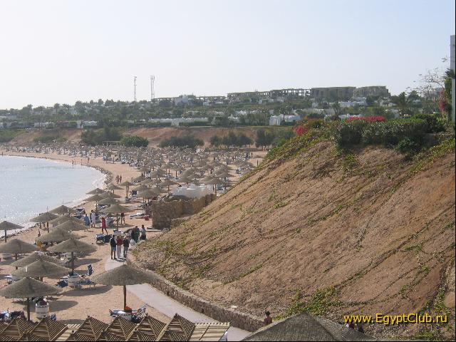 ���� ������-������