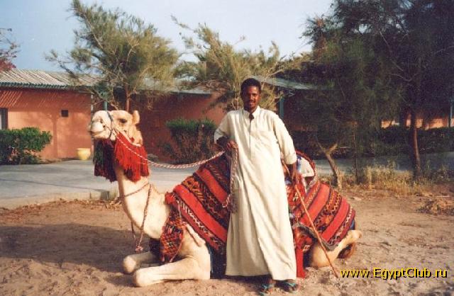 ������� - ���� 019