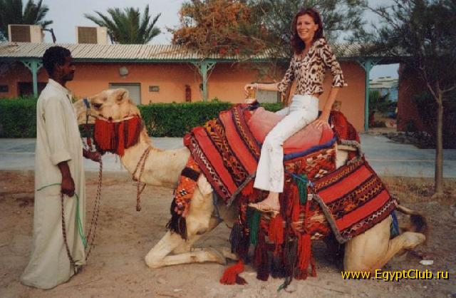 ������� - ���� 020 - ������� ������� ����� �������������