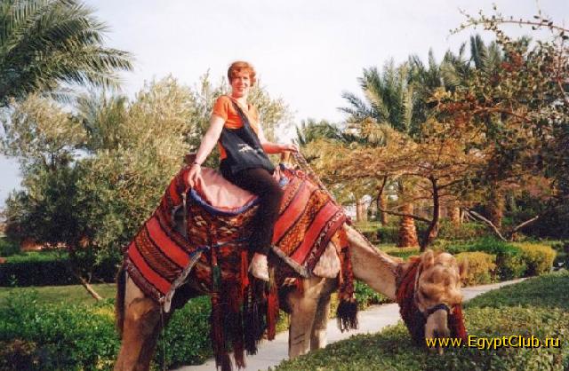 ������� - ���� 021 - ���������, ������ ����� �� ������