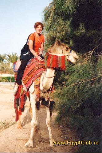 ������� - ���� 022