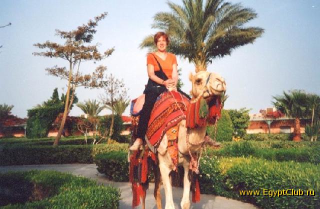 ������� - ���� 023