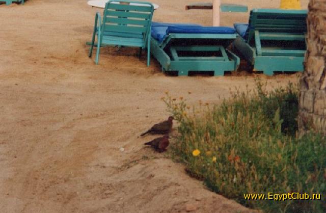 ������� - ���� 024 - ���, ��������, ������-��������...