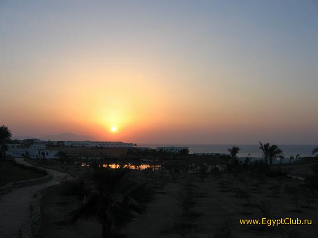 ������. ��� � ������� 56-�� ������� ��������� ����