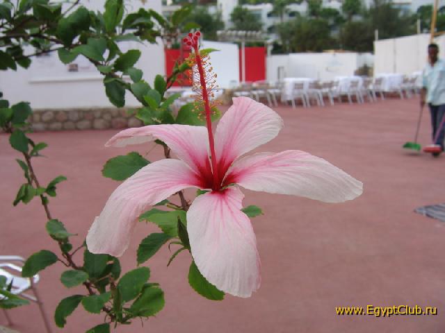 �������� � �����