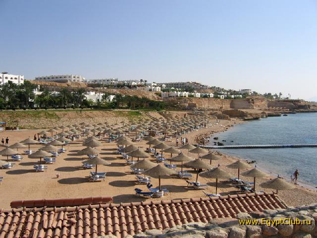 ���� � �������-������