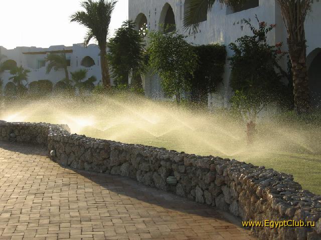 ����� �������� � 56-�� �������