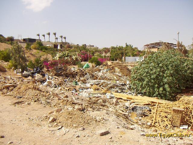 Royal Paradise Resort