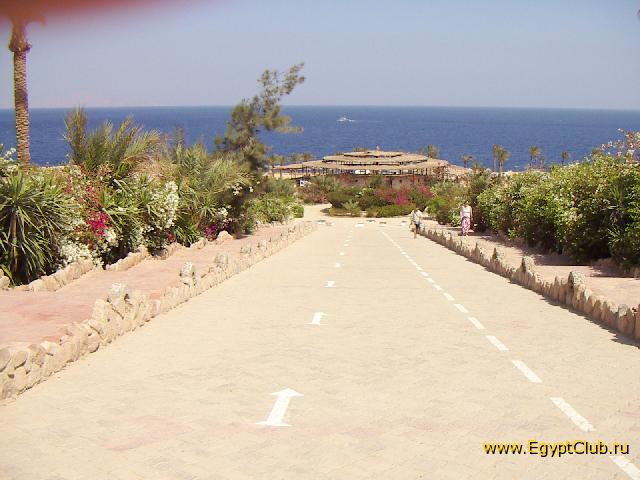 Royal Paradise Resort