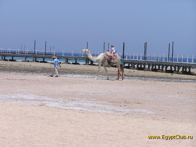 �� �����