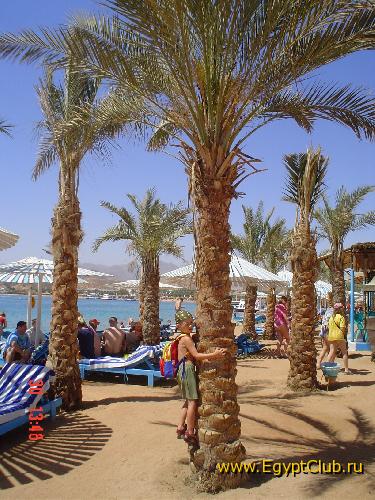 Uni Sharm