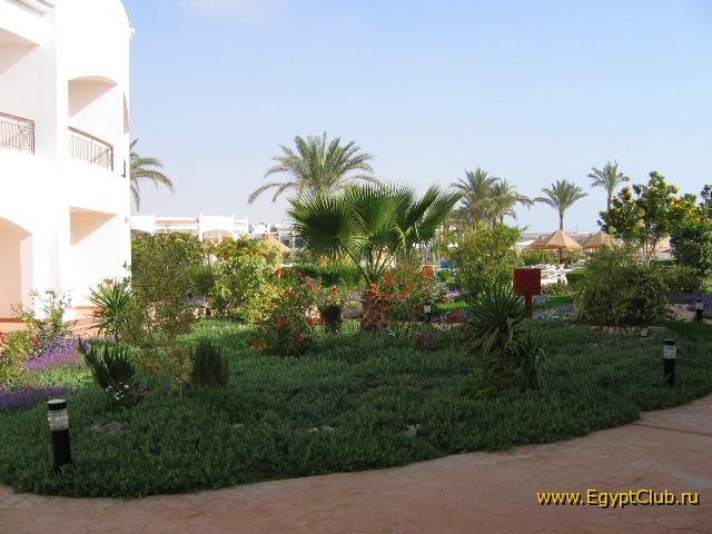 Vid iz terasi nasego nomera