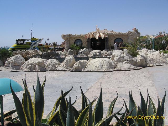 ������ ��������