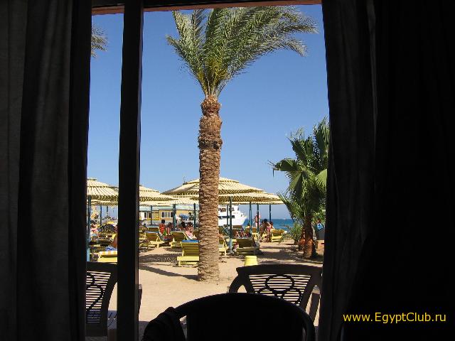 ��� �� ������