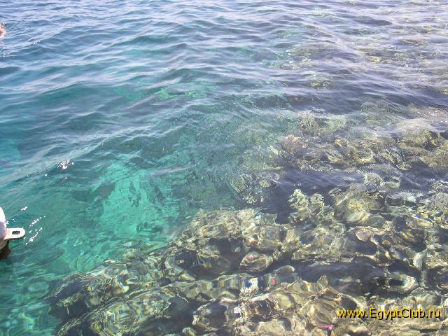 ��� ���. ��� � �������