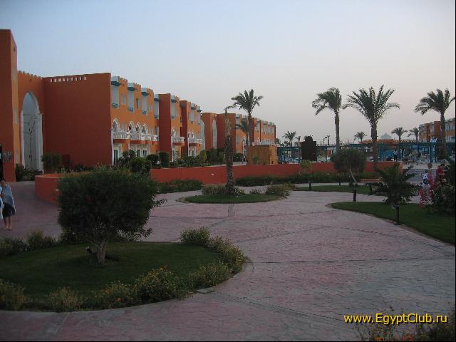 ��� ����