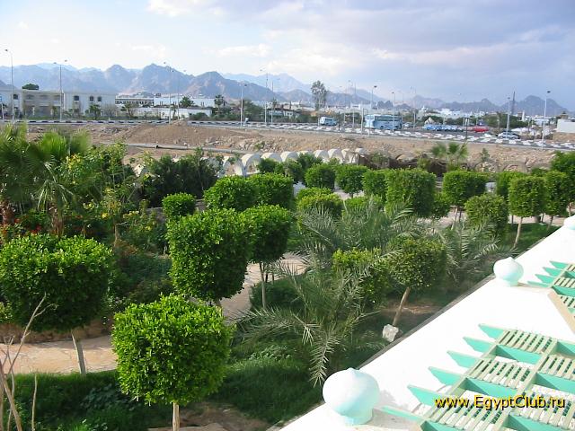 ��� �� ������