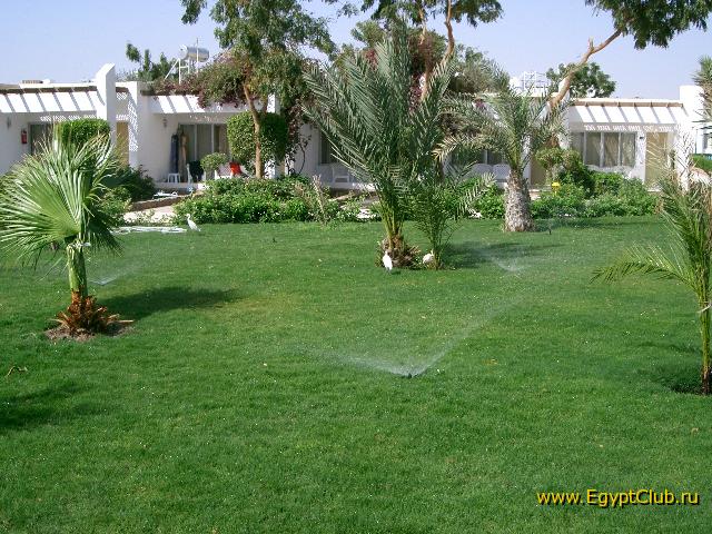 ���������� ����� ��������