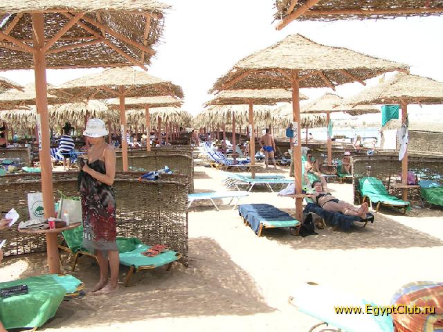 ����� Makadi Sun: ���� �����