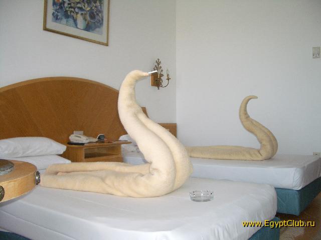 ����� ������ ����� �����