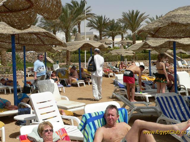 Badawia - ����