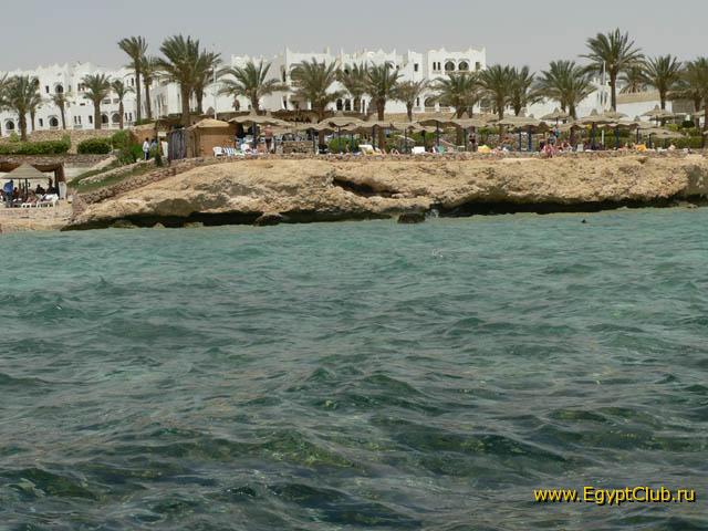 Badawia - ����