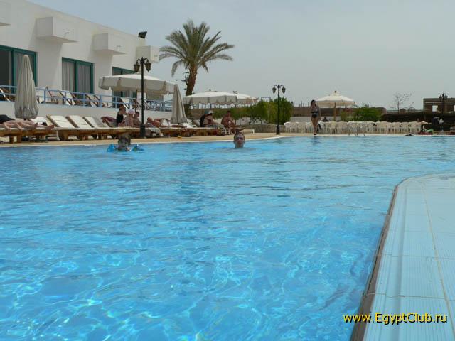 Badawia - ���� �����