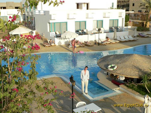 Badawia - ���� �����