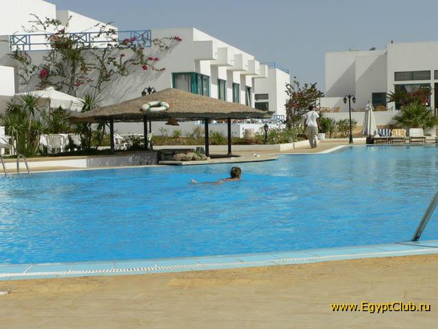 Badawia - ���� �����