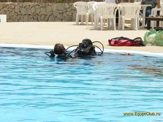 Badawia - ���� �����