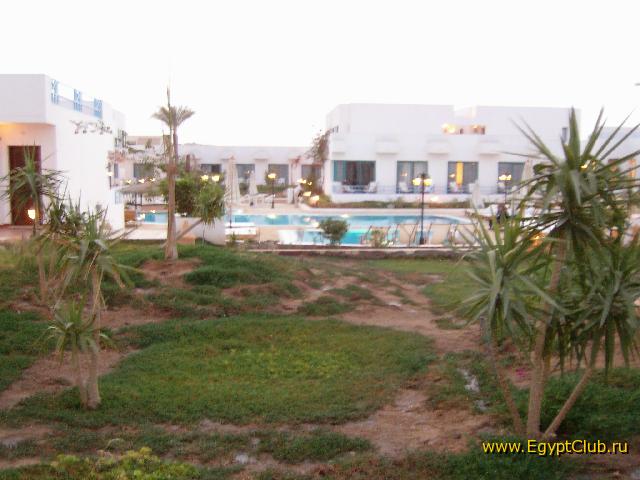 ��� � ������ 239