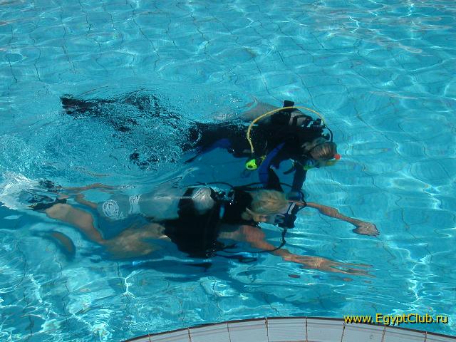 ������ ����