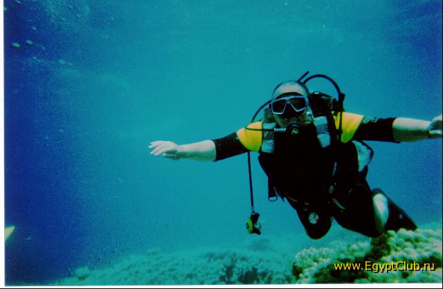 ��������� �����