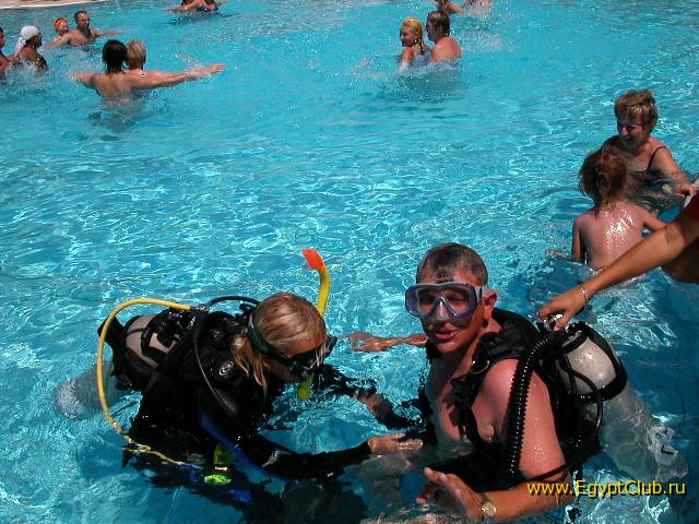 ������ (� ���� ��� ������ 20 ���������� � �������� ����)