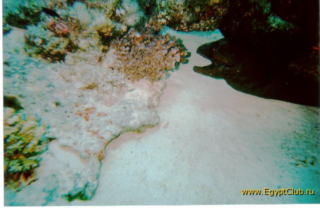 ��� ��� �����!