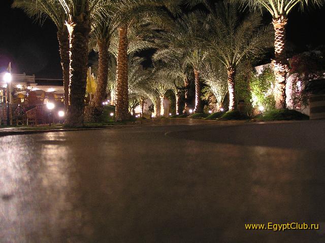 ���� ����