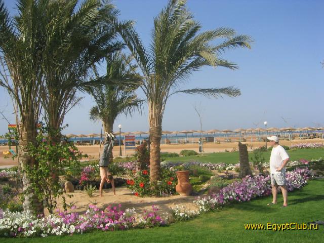 �� ����� ���� ��� ������ 200 ���������� �������