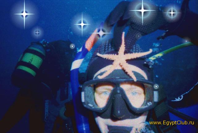 � ������ �������� ����