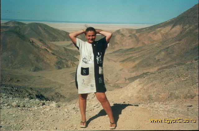 ���� ������ ����