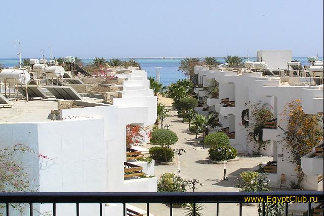 ������ ���