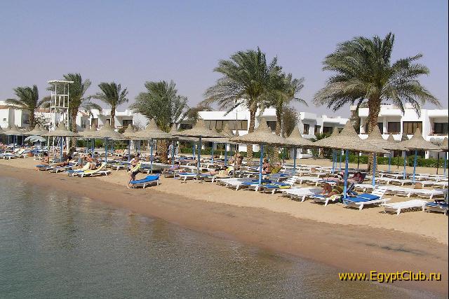 ������ ���