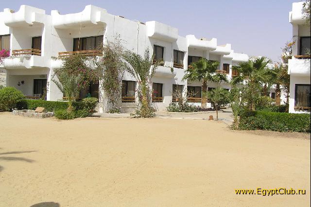 ������ ���