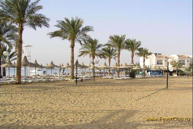 ������ ���