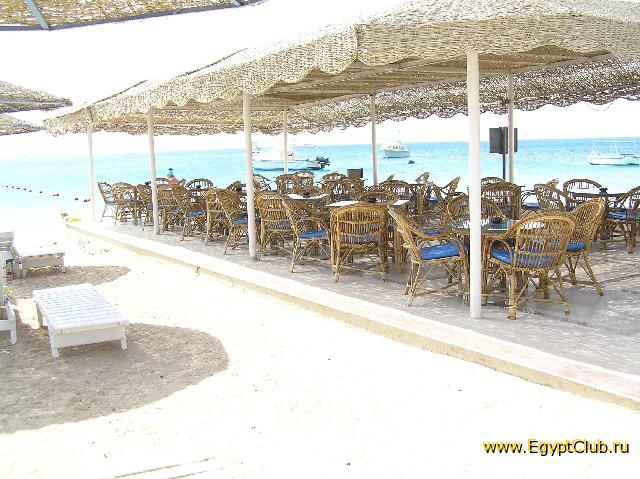 ������ ���